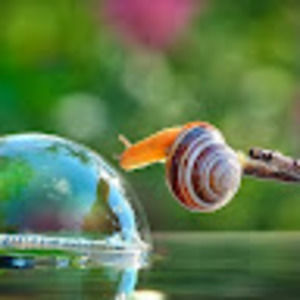 Meet your Posher, Aiyana